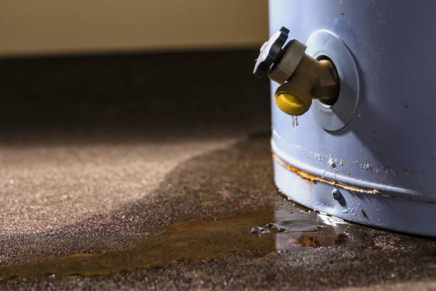 Best Water damage restoration specialists  in Kingston, IL