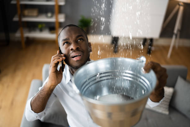 Best Water damage restoration near me  in Kingston, IL