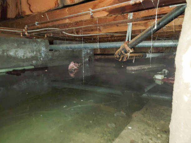 Best Sewage cleanup and water damage restoration  in Kingston, IL