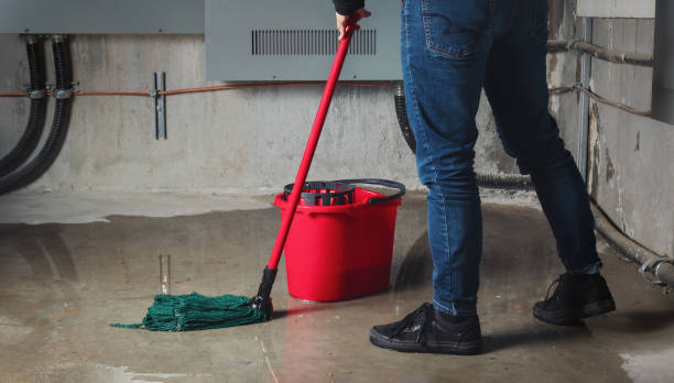 Best Flooded house restoration  in Kingston, IL
