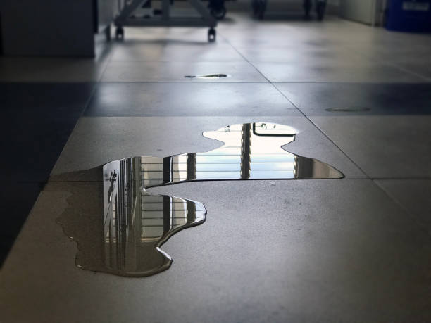 Best Water damage restoration near me  in Kingston, IL