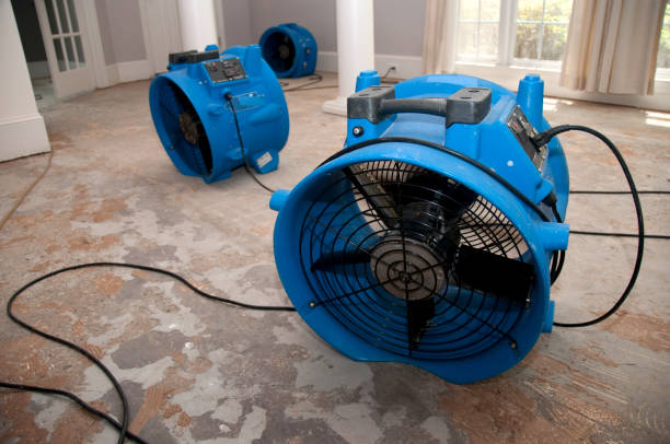 Sewage cleanup and water damage restoration in Kingston, IL