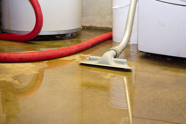 Best Water damage cleanup near me  in Kingston, IL