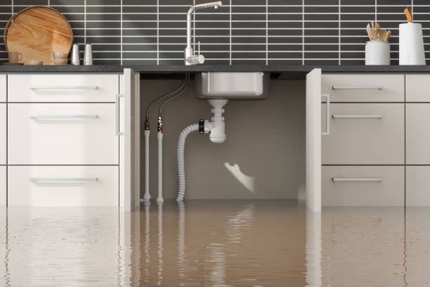 Best Basement water damage restoration  in Kingston, IL