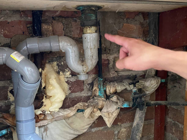 Best Local water damage restoration  in Kingston, IL