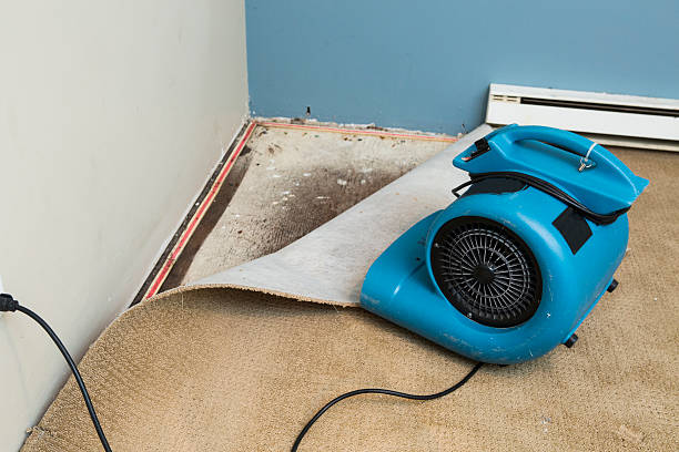 Best Sewage cleanup and water damage restoration  in Kingston, IL